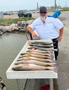Redfish caught in League City