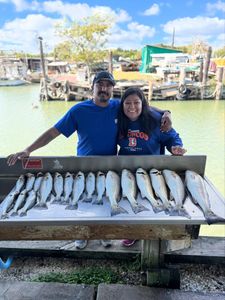 7 redfish caught while fishing in League City