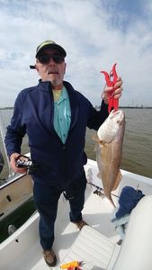 Redfish caught in TX while fishing