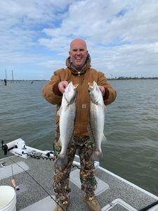 Two spotted weakfish, 22 inches long, caught while fishing in League City