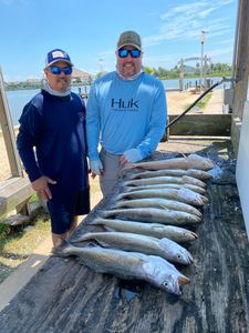 Spotted weakfish, 26 inches, fishing in TX