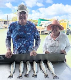 Four spotted weakfish caught by two anglers fishing in TX