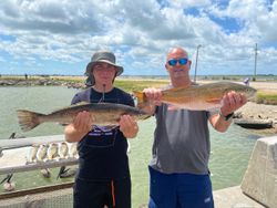 Two spotted weakfish, 27 inches long, caught while fishing in League City