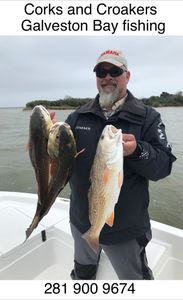 Angler holding two large fish in TX