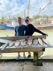Anglers holding three fish caught in TX