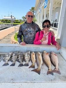8 black drum fish caught in TX