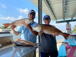 3 redfish caught in TX