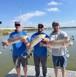 3 redfish caught by 3 anglers in League City