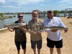 Three chub mackerel, 22-inch fish caught while fishing in TX