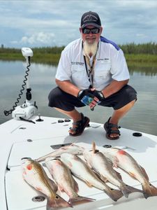 Three fish caught fishing in League City