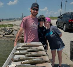 Three spotted weakfish, 19 inches long, caught while fishing in Texas