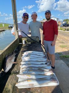 3 spotted weakfish caught in TX