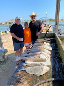 Two black drum fish caught fishing in TX