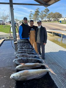 Two redfish caught by three people fishing in League City
