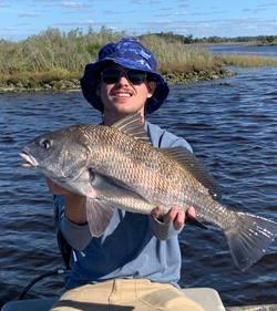Angler with a large black drum fish caught in Crystal River
