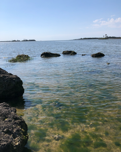 Fishing in Florida