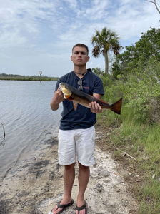 Angler fishing in Crystal River