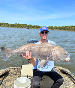 Black Drum fish caught while fishing in Florida