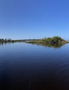 Great fishing trip in FL
