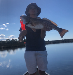 Redfish caught fishing in FL