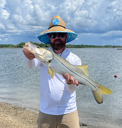 Snook fish caught in Crystal River