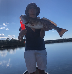 Redfish triumph, victorious catch