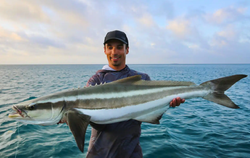 Cobia action in West Palm Beach delivers the best fishing experience!