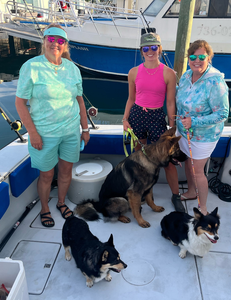 Three dogs on fishing boat deck at marina with other boats in background