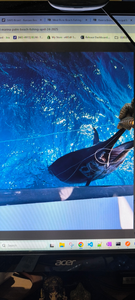 Large fish being lifted from blue water during fishing trip