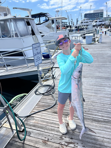 King mackerel catch displayed on marina dock with fishing boats in background