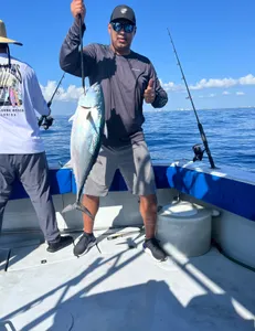 Little tunny fish caught during offshore fishing trip