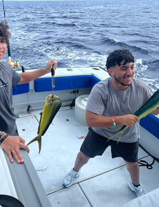 Freshly caught mahi mahi displayed on fishing boat deck over ocean waters
