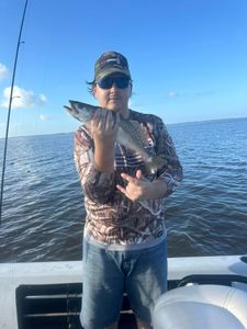 Angler fishing in Saint Bernard