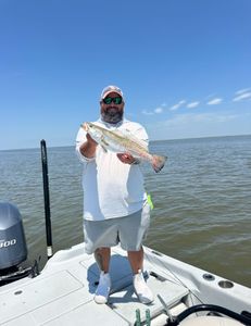Photograph of a spotted weakfish measuring 19 inches, caught while fishing in LA.