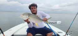 A single Crevalle Jack fish measuring 17 inches in FL