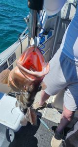 Scenic view of the water in FL with boats and water sports activities
