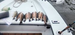 Scenic landscape with fishing and water sports in FL