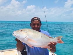 Angler fishing in the waters of Key Largo