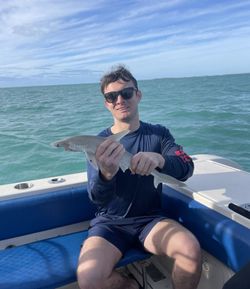 1 person enjoying water sports in Key Largo