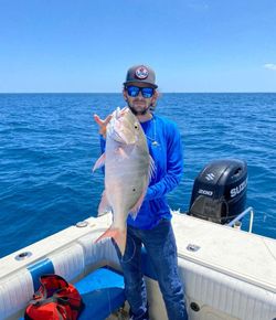 Mutton snapper caught while fishing in FL