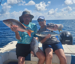 Three grey triggerfish caught on fishing trip in Key Largo