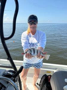 Angler catches black drum fish in FL