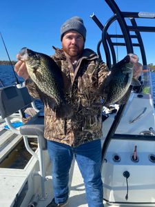 Two crappie fish caught while fishing in Jacksonville