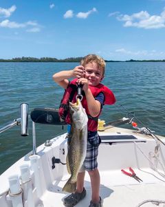 Spotted weakfish caught fishing in Jacksonville