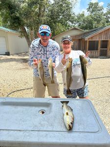 Spotted Weakfish caught while fishing in Jacksonville