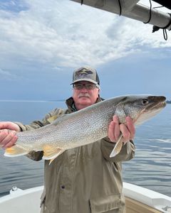 Trout season in full swing at Champlain
