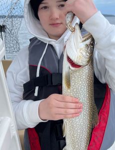 Champlain trout: Angler's pride