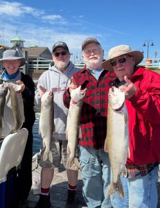 Four Chinook salmon, Chum salmon, and Rainbow trout caught during fishing at Cumberland Head
