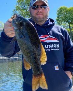 Lake Champlain smallmouth fishing