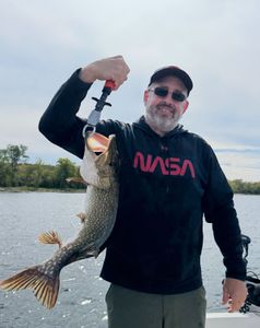 One chain pickerel caught while fishing at Cumberland Head